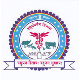 Logo 12