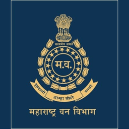 Logo 15